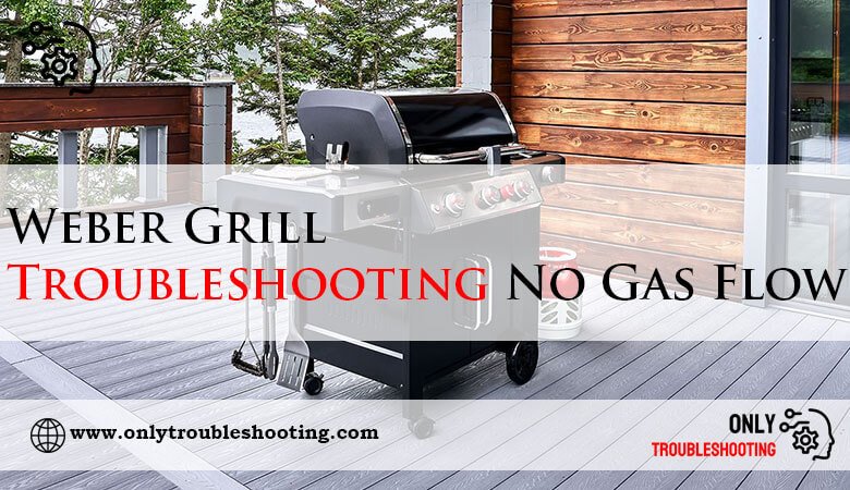 Weber Grill Troubleshooting No Gas Flow-Fi